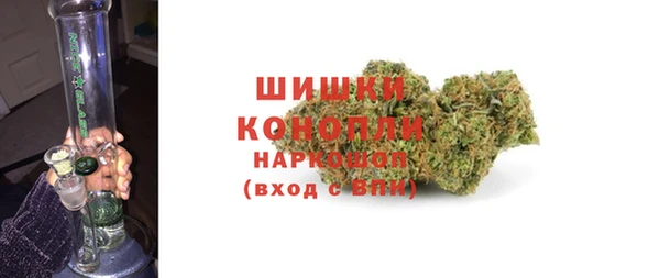 МДПВ Каменногорск