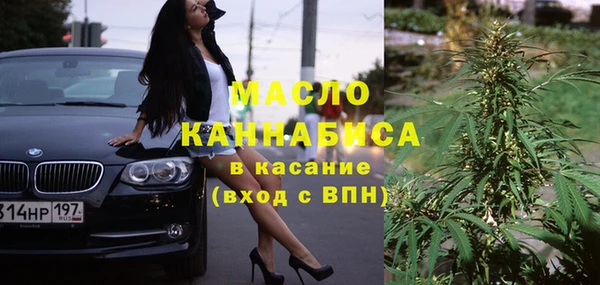 МДПВ Каменногорск