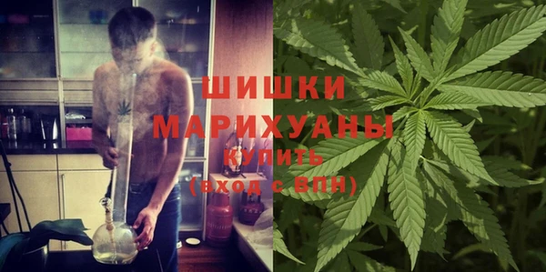 МДПВ Каменногорск