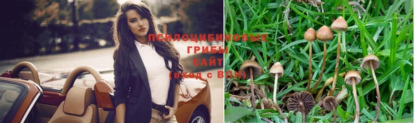 МДПВ Каменногорск