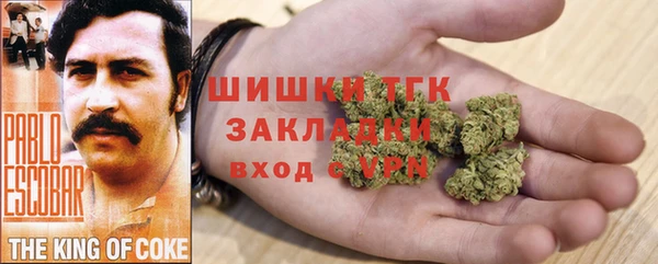 МДПВ Каменногорск